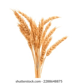 wheat with style hand drawn digital painting illustration