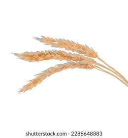 wheat with style hand drawn digital painting illustration