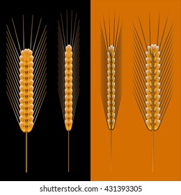 Wheat symbol. Vector illustration.