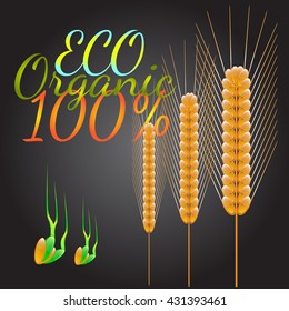 Wheat symbol. Vector illustration.