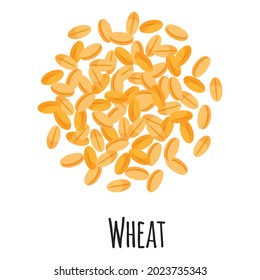 Wheat for template farmer market design, label and packing. Natural energy protein organic super food. Vector cartoon isolated illustration.