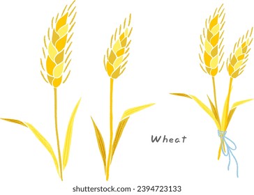 Wheat, wheat tied together with a ribbon, hand-drawn cute illustration set