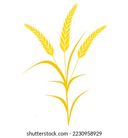 Wheat tree vector illustration isolated on white background. Cereal crops are used as a staple food.