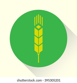 Wheat, vector