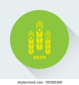 Wheat, vector