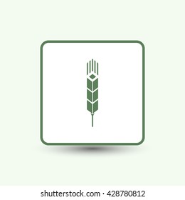 Wheat, vector