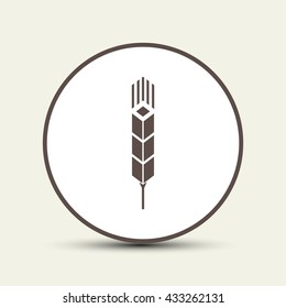 Wheat, vector