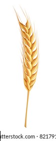 Wheat, vector