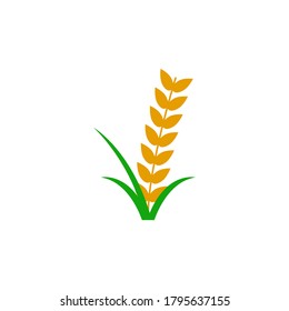 wheat vector design template illustration