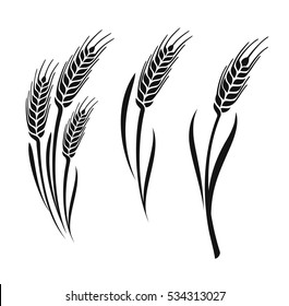 Wheat vector ears collection on white background