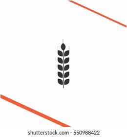 Wheat vector grey icon on white background. Wheat symbol stock   illustration. Business picture.