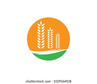 Wheat vector icon