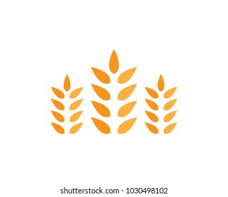Wheat vector icon