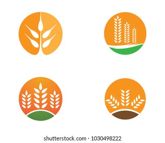 Wheat vector icon