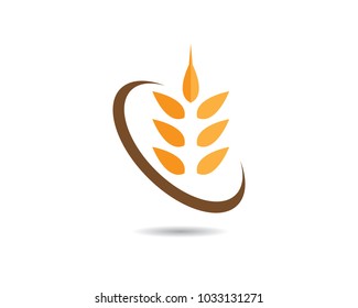 Wheat vector icon