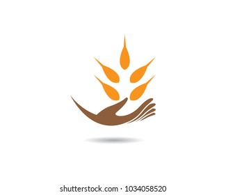 Wheat vector icon