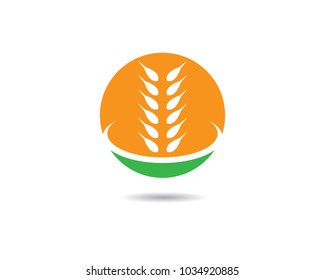 Wheat vector icon