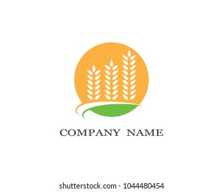 Wheat vector icon