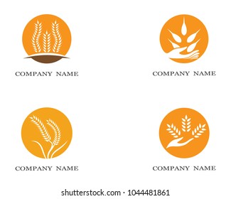 Wheat vector icon