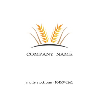 Wheat vector icon