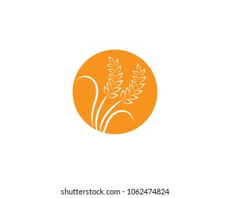 Wheat vector icon