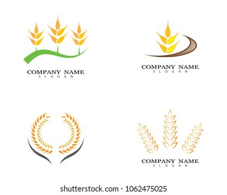 Wheat vector icon