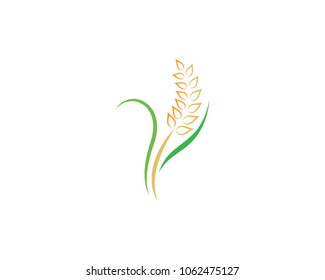 Wheat vector icon