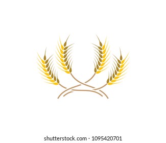 Wheat vector icon