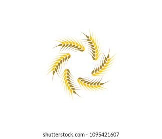 Wheat vector icon