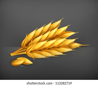 Wheat vector icon