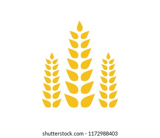
wheat vector icon