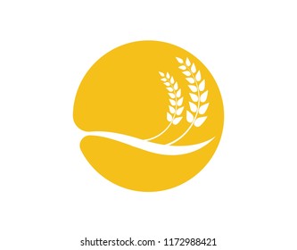 
wheat vector icon