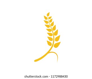 
wheat vector icon