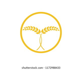 
wheat vector icon