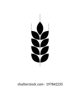 wheat vector icon 