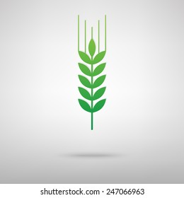 wheat vector icon 