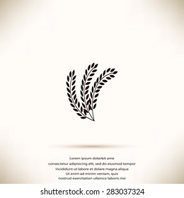 wheat vector icon