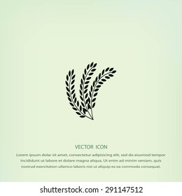 wheat vector icon