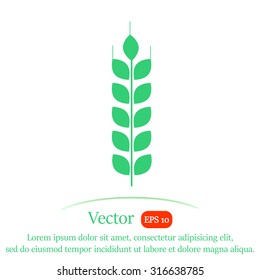 Wheat vector icon