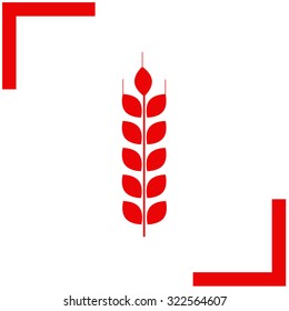 Wheat vector icon