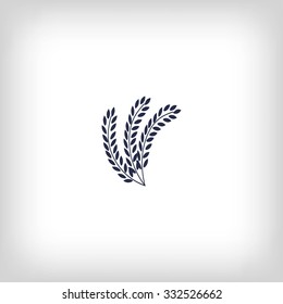 wheat vector icon