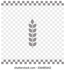 Wheat vector icon