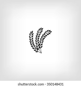 wheat vector icon