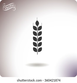 Wheat vector icon