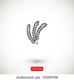 wheat vector icon