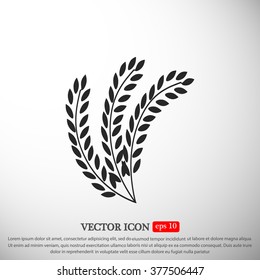wheat vector icon