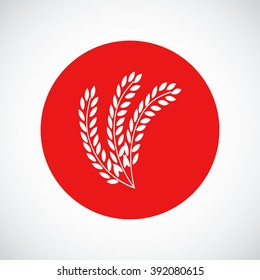 wheat vector icon
