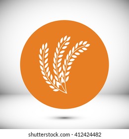 wheat vector icon