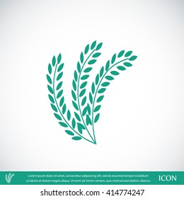 wheat vector icon