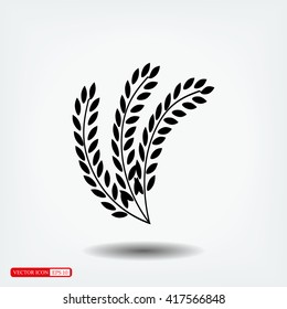 wheat vector icon